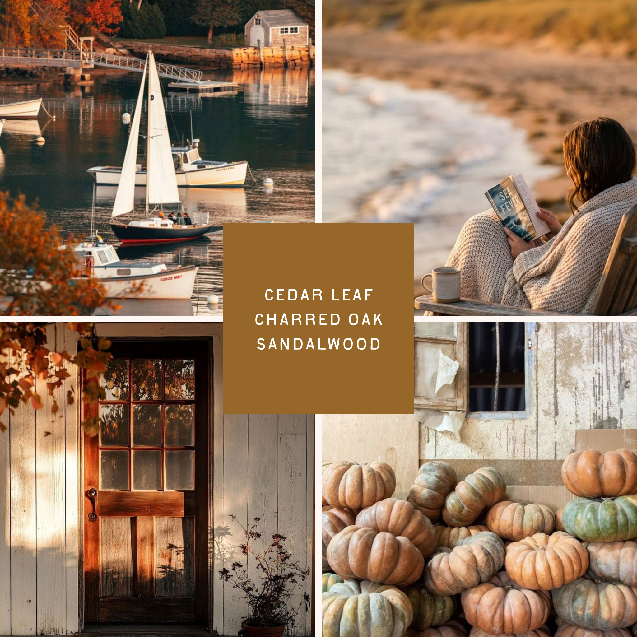 Autumn Cottage Hand & Body Lotion
