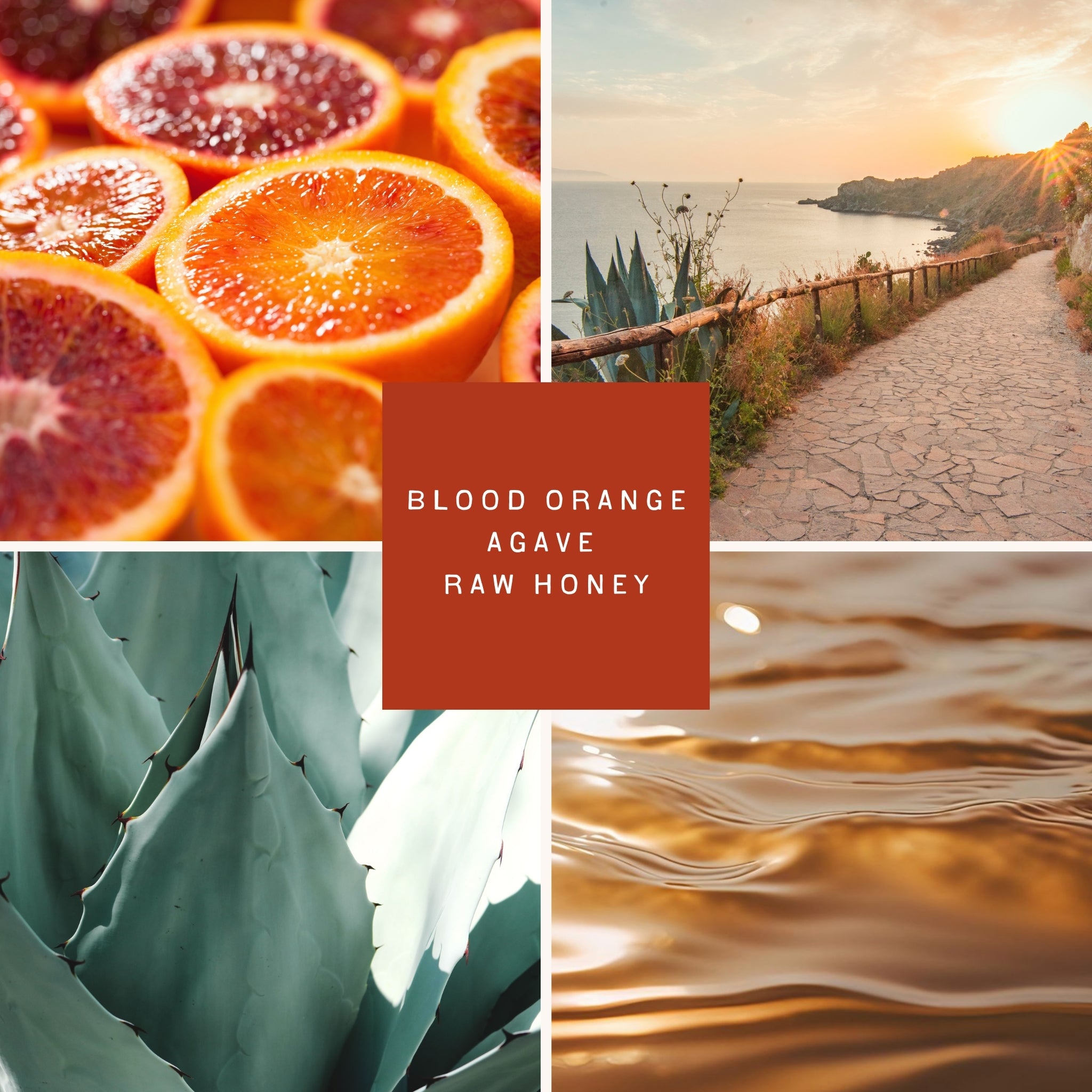A warm coastal collage for the Golden Hour candle from Salt Town, featuring sliced blood oranges, sun setting on a seaside path, close-up of agave leaves, and golden ripples of water—evoking citrusy, amber-toned coastal sunsets.