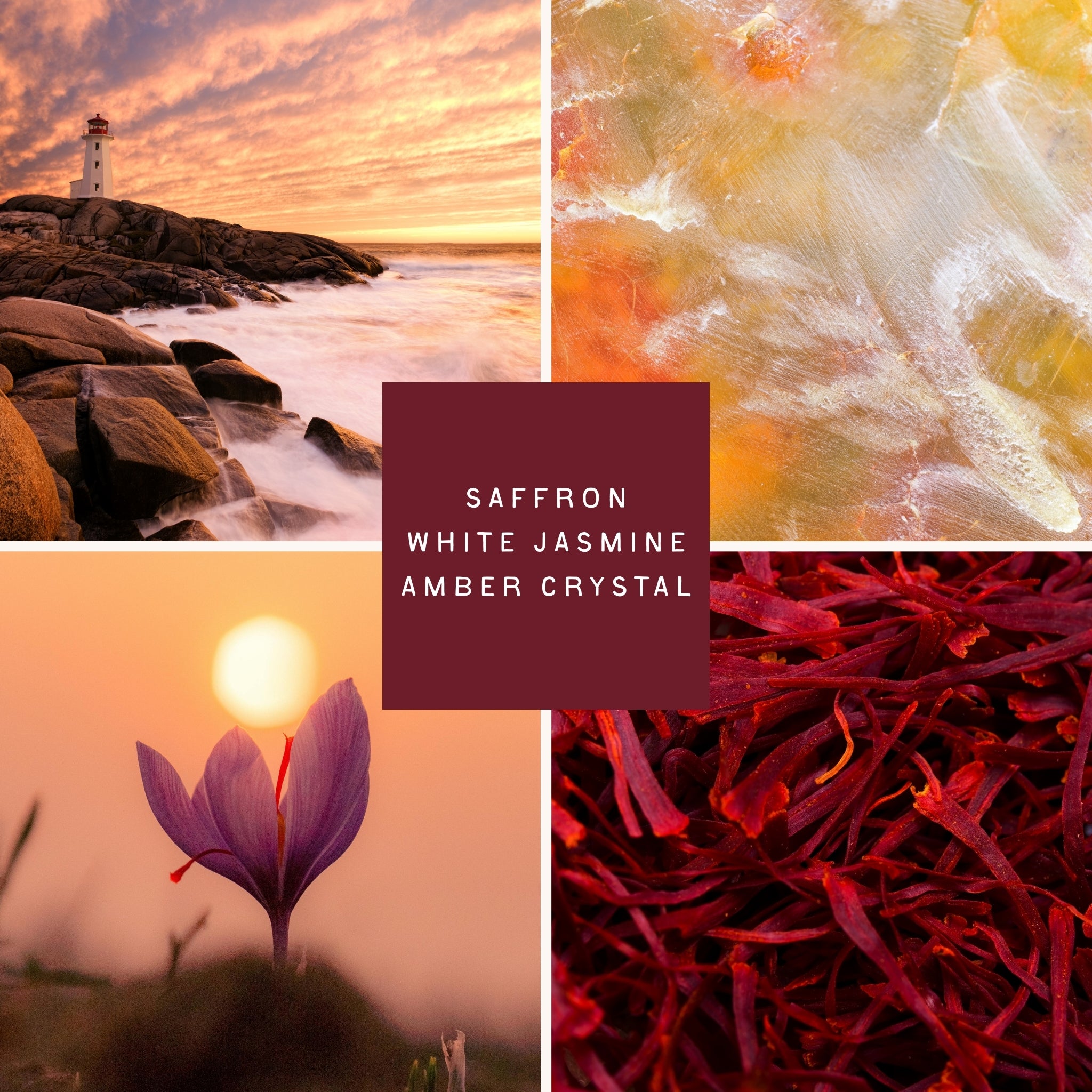 A moody, luxurious collage representing the Saffron Cove scent: a glowing lighthouse at golden hour beside crashing coastal rocks, a swirl of rich amber resin, a saffron crocus blooming at sunset, and vivid red saffron threads. The imagery evokes warmth, depth, and serenity—capturing the essence of a beach-inspired scent rooted in spice, floral elegance, and coastal calm.