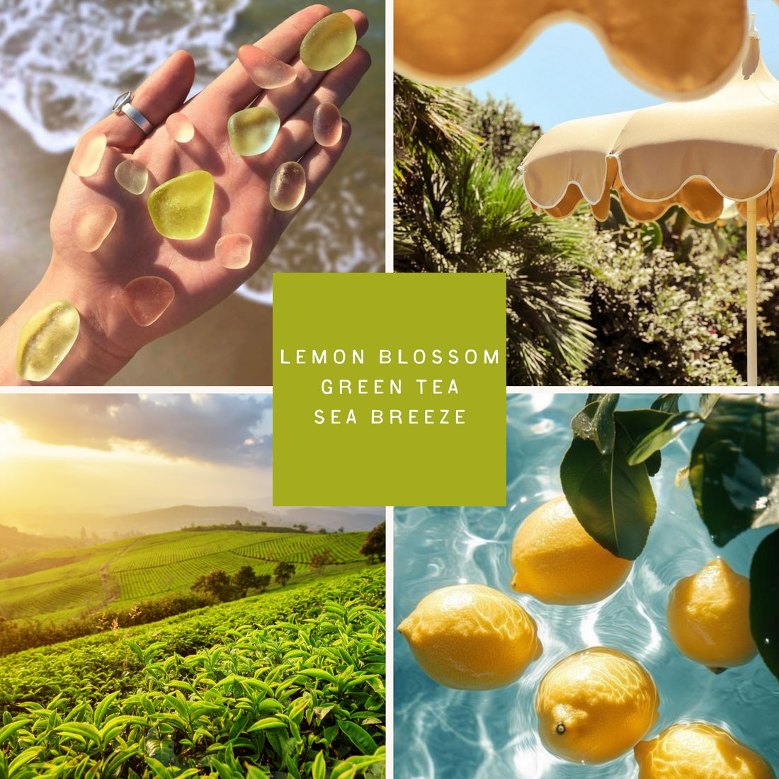 Hand holding yellow sea glass by the ocean, vintage-style beach umbrellas surrounded by palm trees, bright lemons floating in clear water, and a sunlit green tea field—an uplifting collage representing the Citrine Sea Glass coastal candle, with citrus, ocean breeze, and fresh botanical notes for a clean, beach-inspired scent.