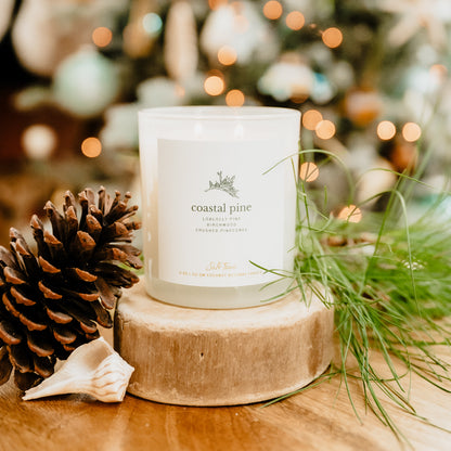 Coastal Pine 11 oz Candle